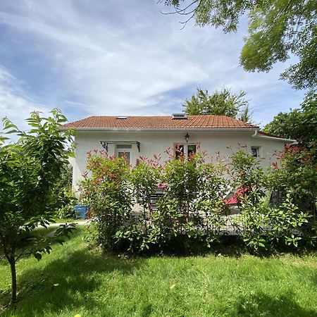 The Little Oak - Tiny House With Bed On Mezzanine & Terrace - From 1 To 4 P Disney, Paris & Cdg Pomponne Eksteriør billede
